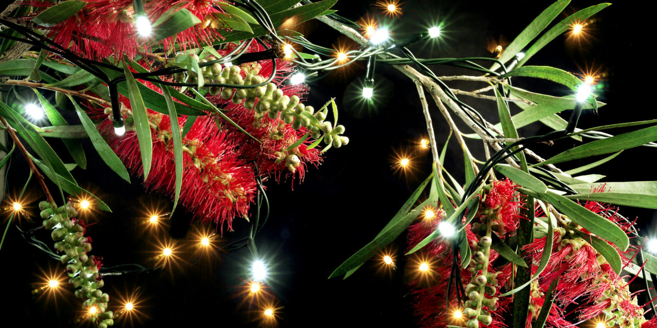 Christmas Happenings In The Southern Highlands