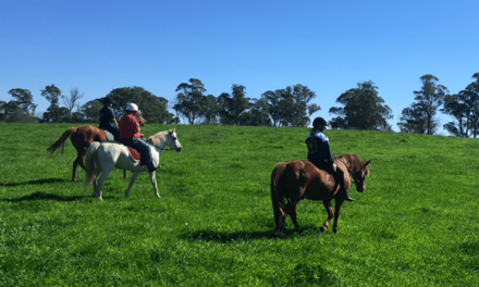 School Holiday Activities in the Southern Highlands
