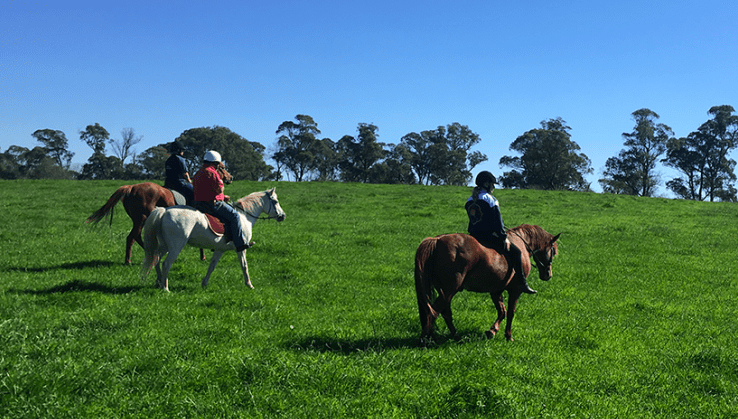 School Holiday Activities in the Southern Highlands
