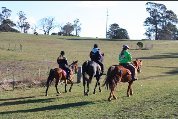 horse riding in the southern highlands